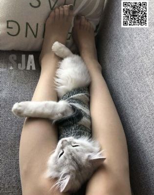 亚洲春色红桃视频_720神马影院手机在线